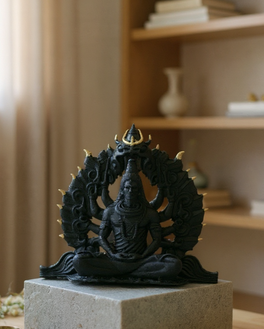 Shivji Idol with 10 Hands & Golden Flames, 14 cm